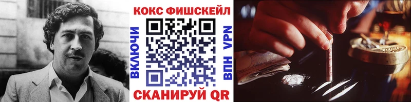 Купить закладки  Благодарный  Cocaine FishScale 