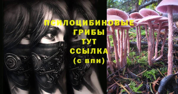соль курить ск Арсеньев