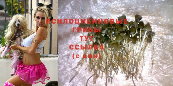 соль курить ск Арсеньев