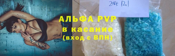 ECSTASY Билибино