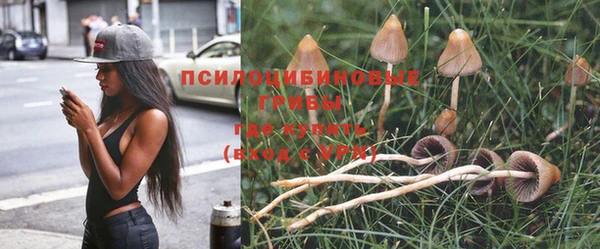 соль курить ск Арсеньев