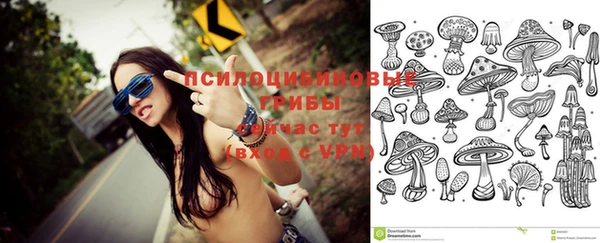 дурь Аркадак