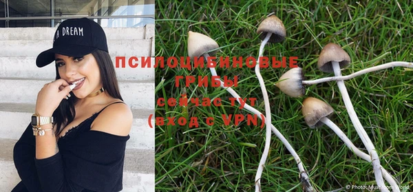 дурь Аркадак
